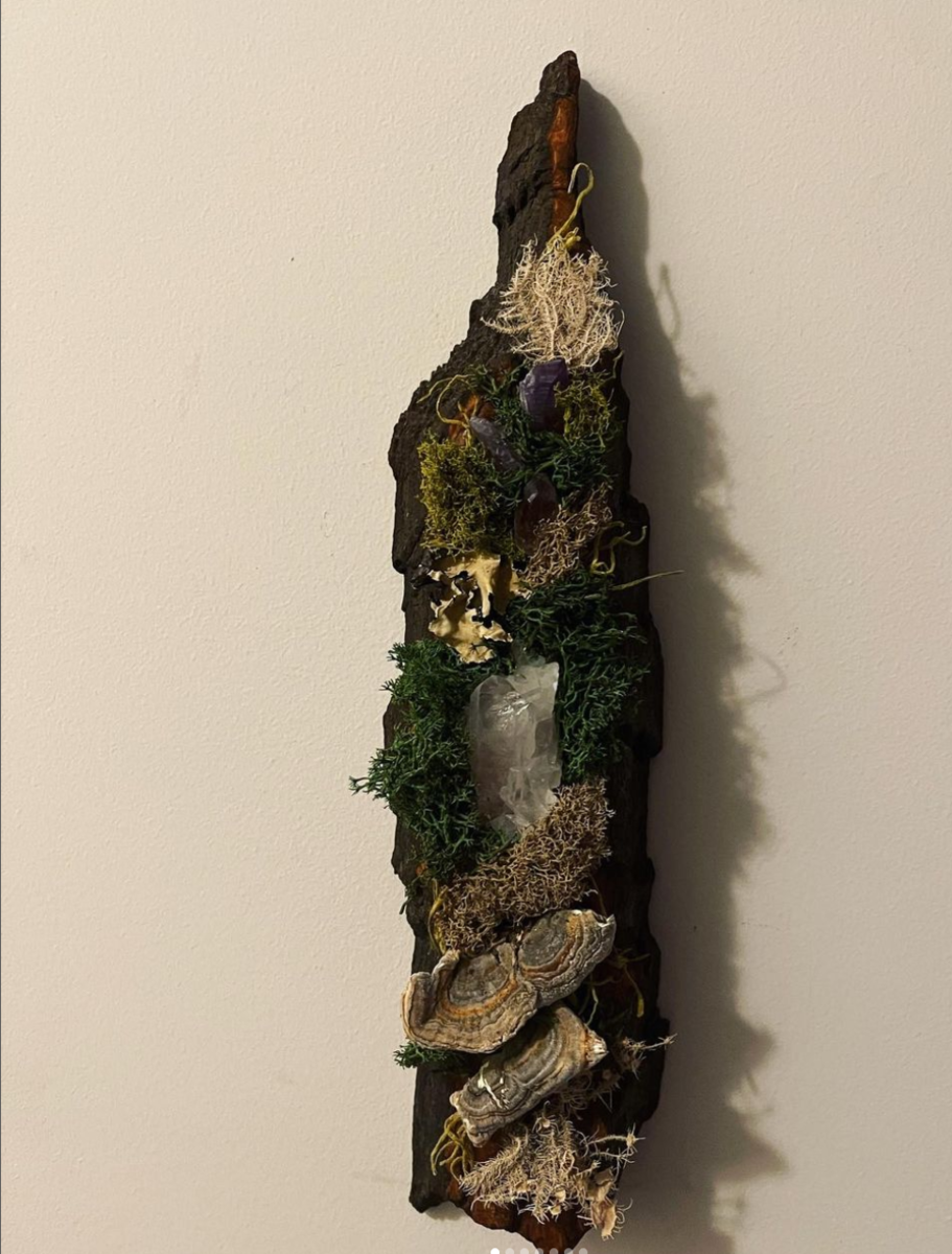 Moss Wall I